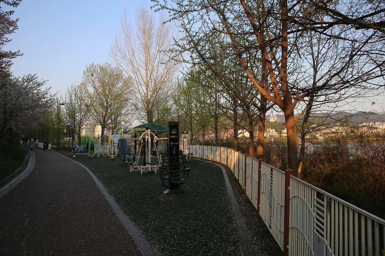 MG0A8909_новый размер.JPG