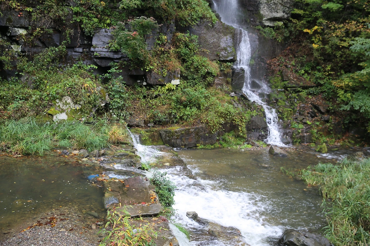 MG0A5940_новый размер.JPG