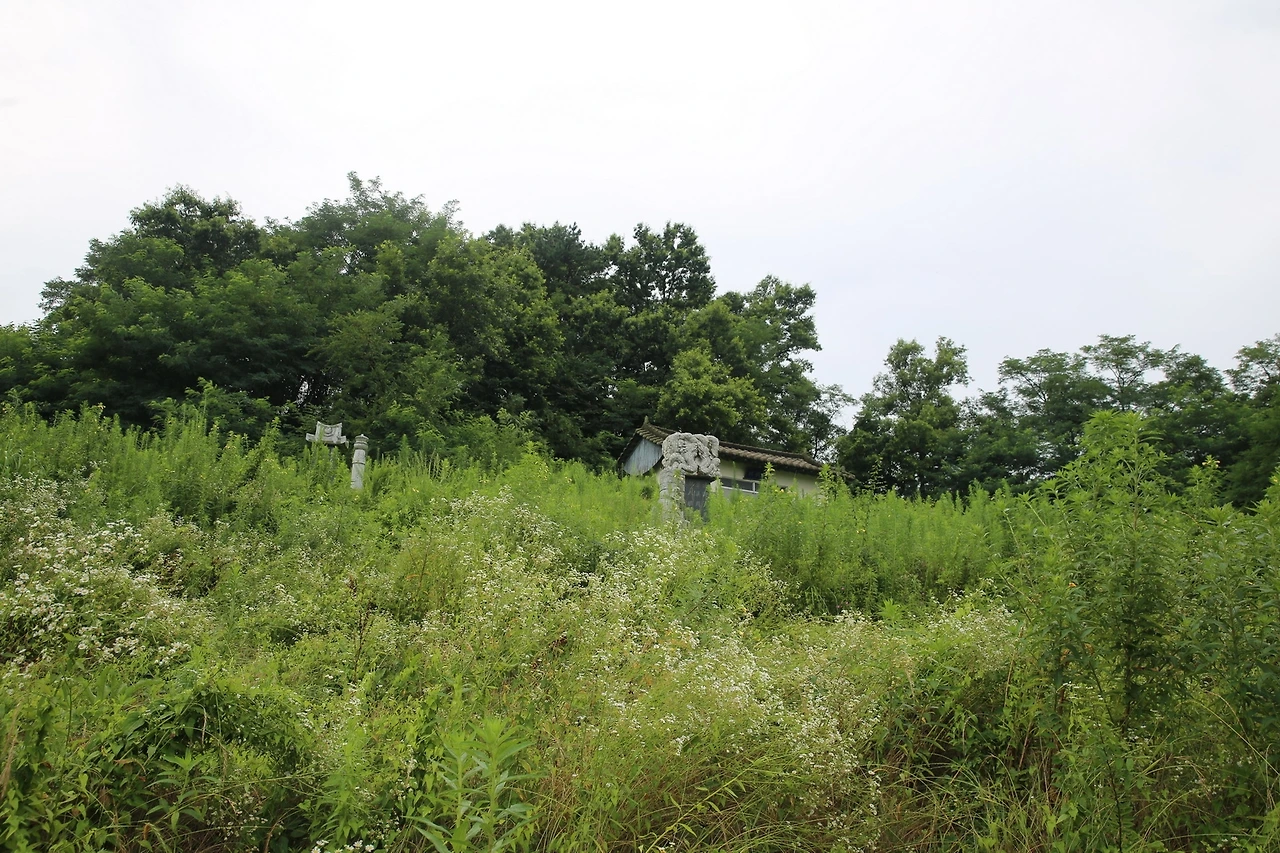 MG0A4702_новый размер.JPG