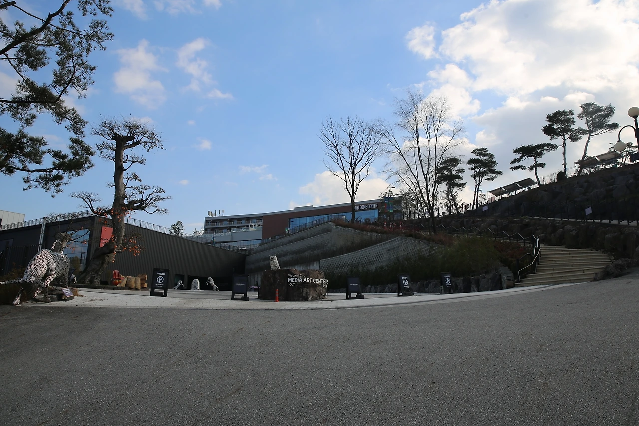 MG0A3154_новый размер.JPG