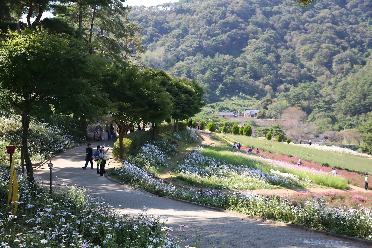 MG0A6222_новый размер.JPG