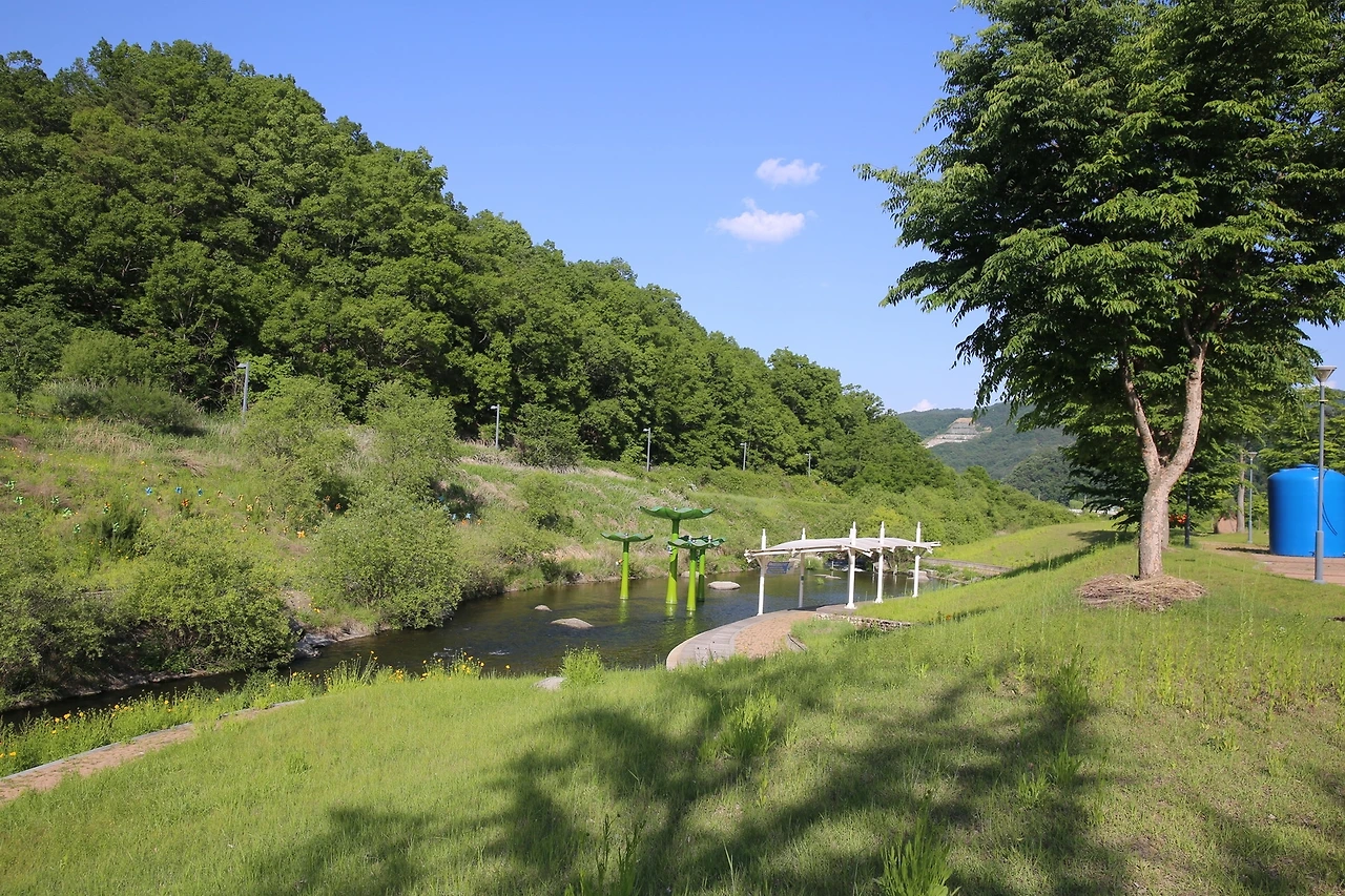 MG0A9506_новый размер.JPG