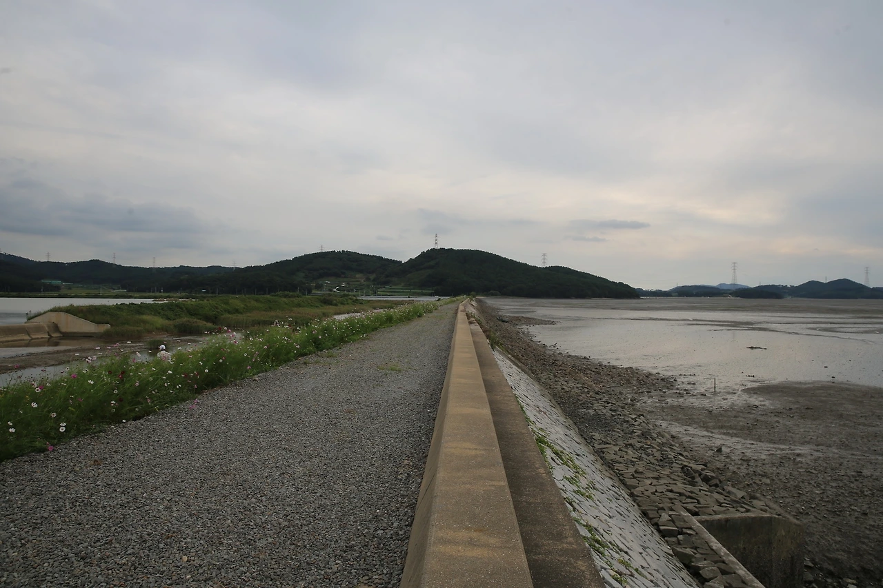 MG0A3487_новый размер.JPG