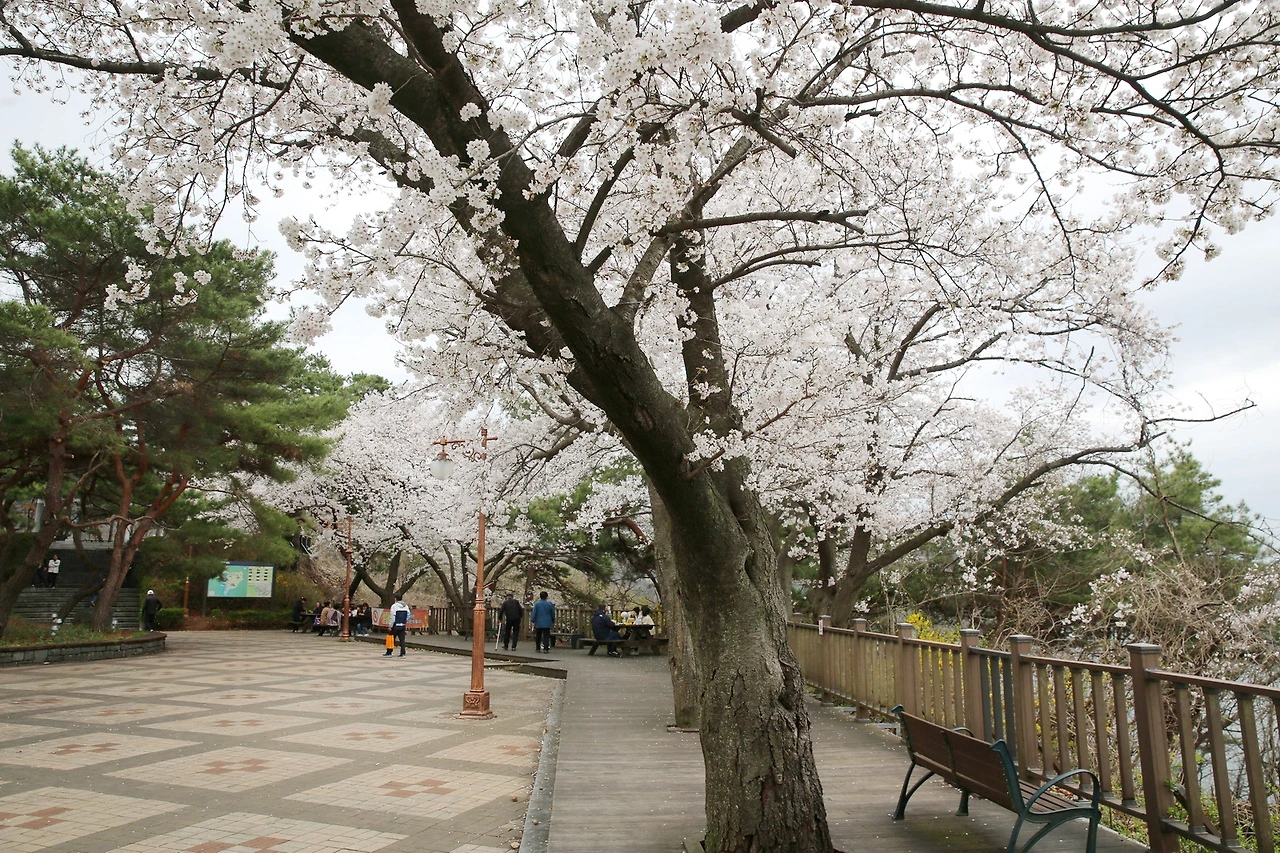 MG0A8196_новый размер_exposure.JPG