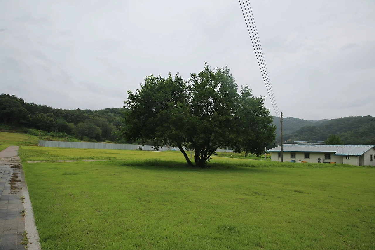 MG0A6022_новый размер.JPG