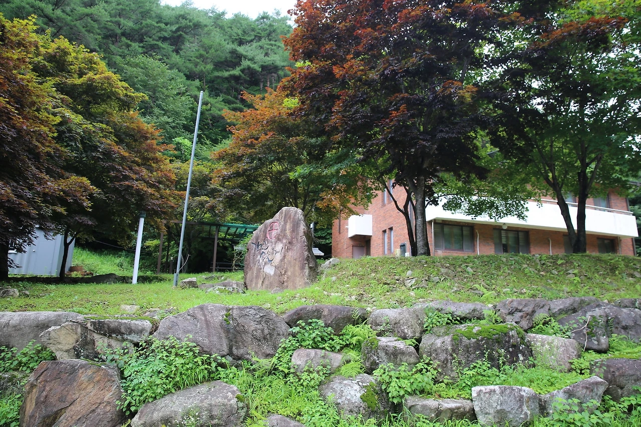 MG0A6561_новый размер.JPG