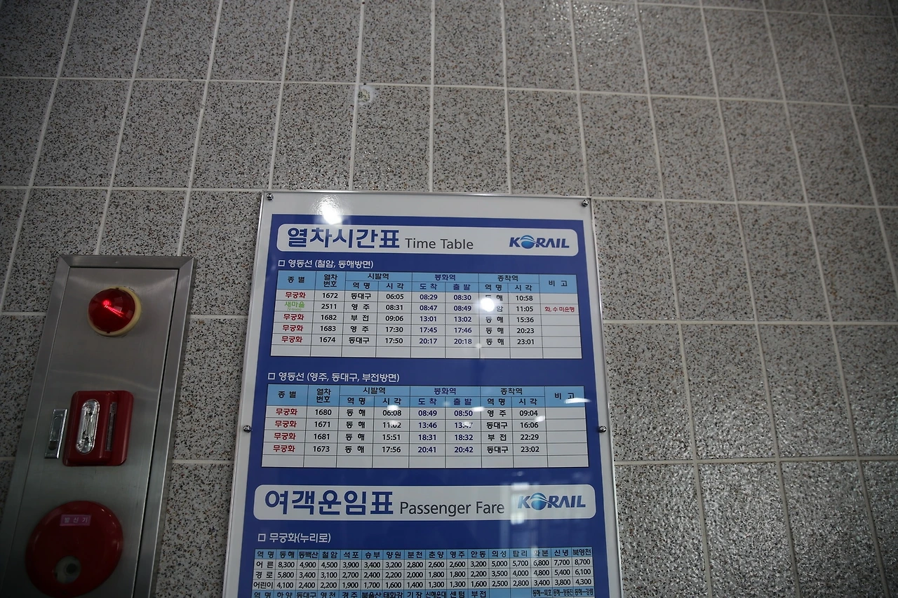 MG0A4705_новый размер.JPG