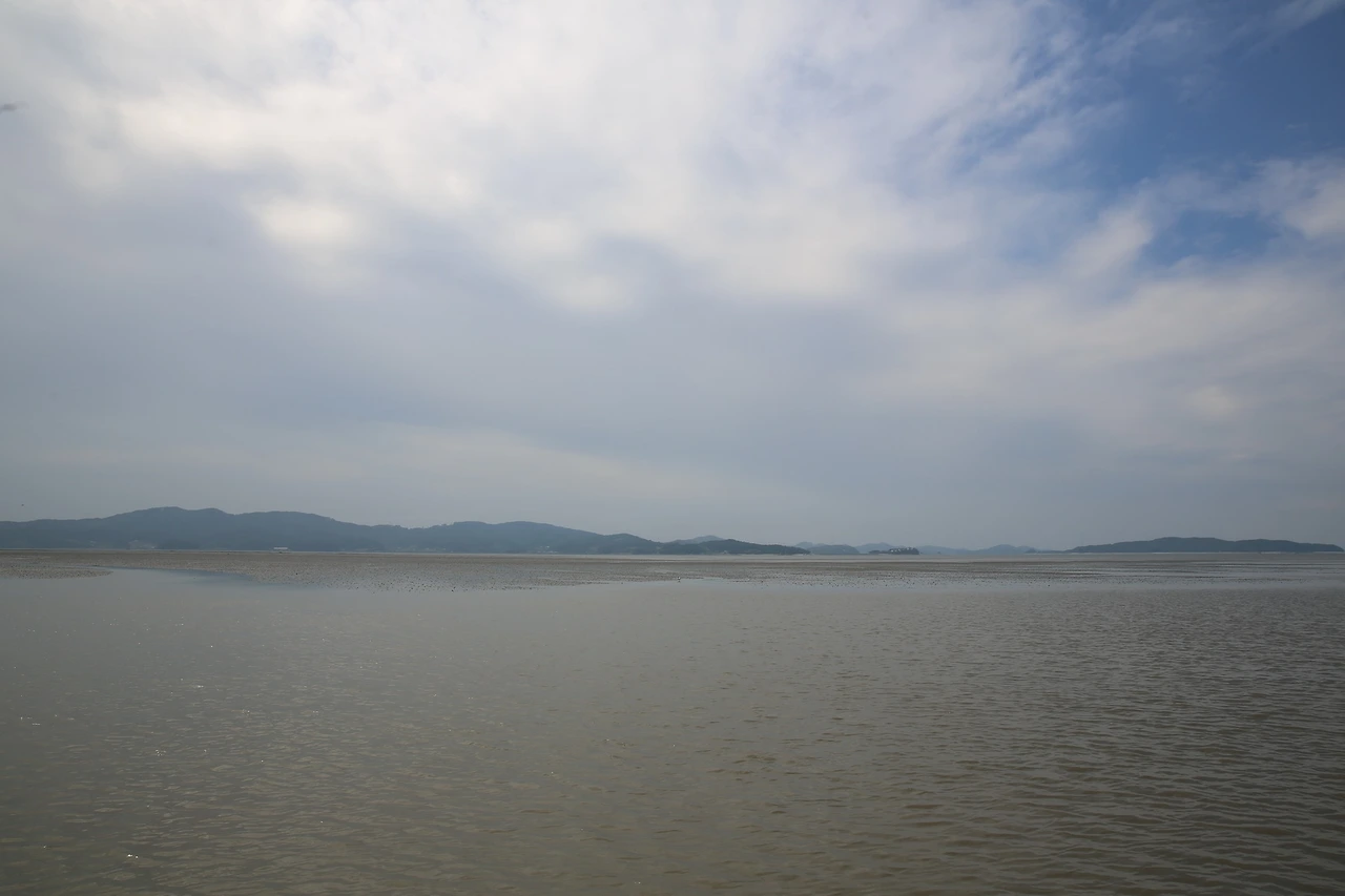 MG0A7034_новый размер.JPG