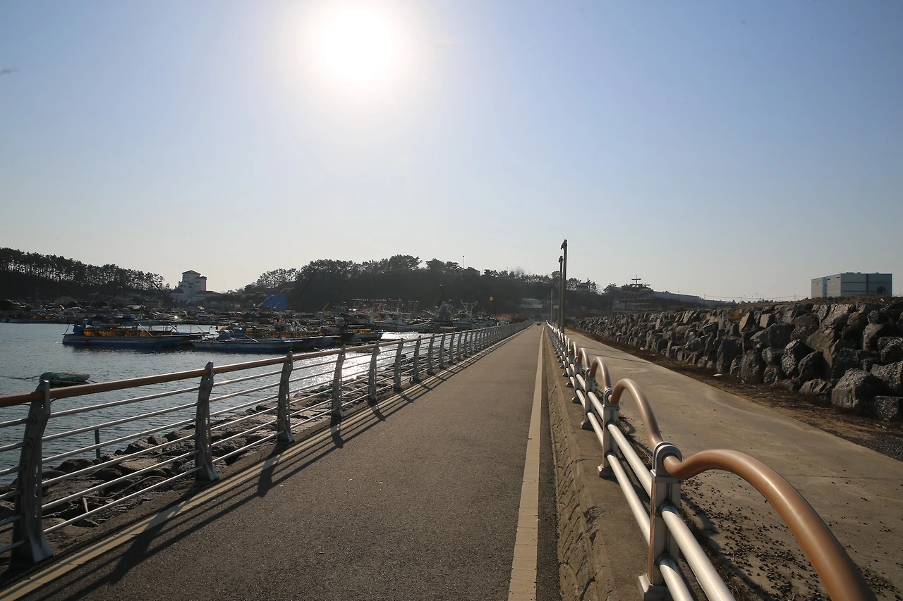 MG0A3547_новый размер.JPG