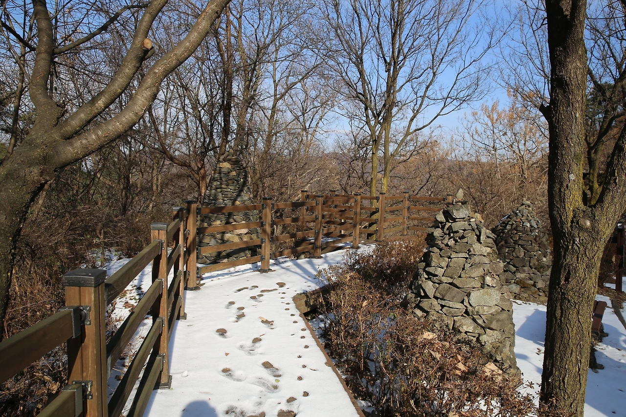 MG0A5589_новый размер.JPG