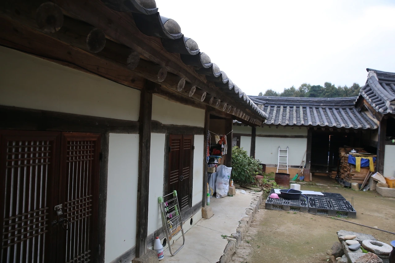 MG0A7587_новый размер.JPG