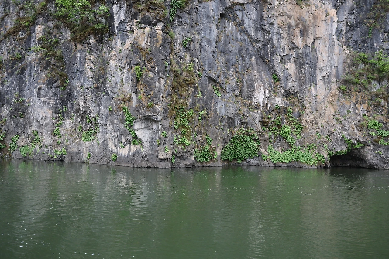 0R5A1263_новый размер.JPG