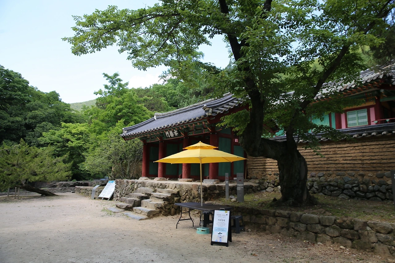 MG0A8199_новый размер.JPG