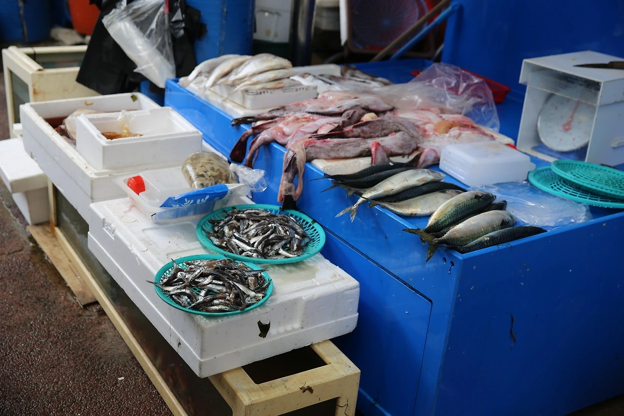 MG0A6932_новый размер.JPG