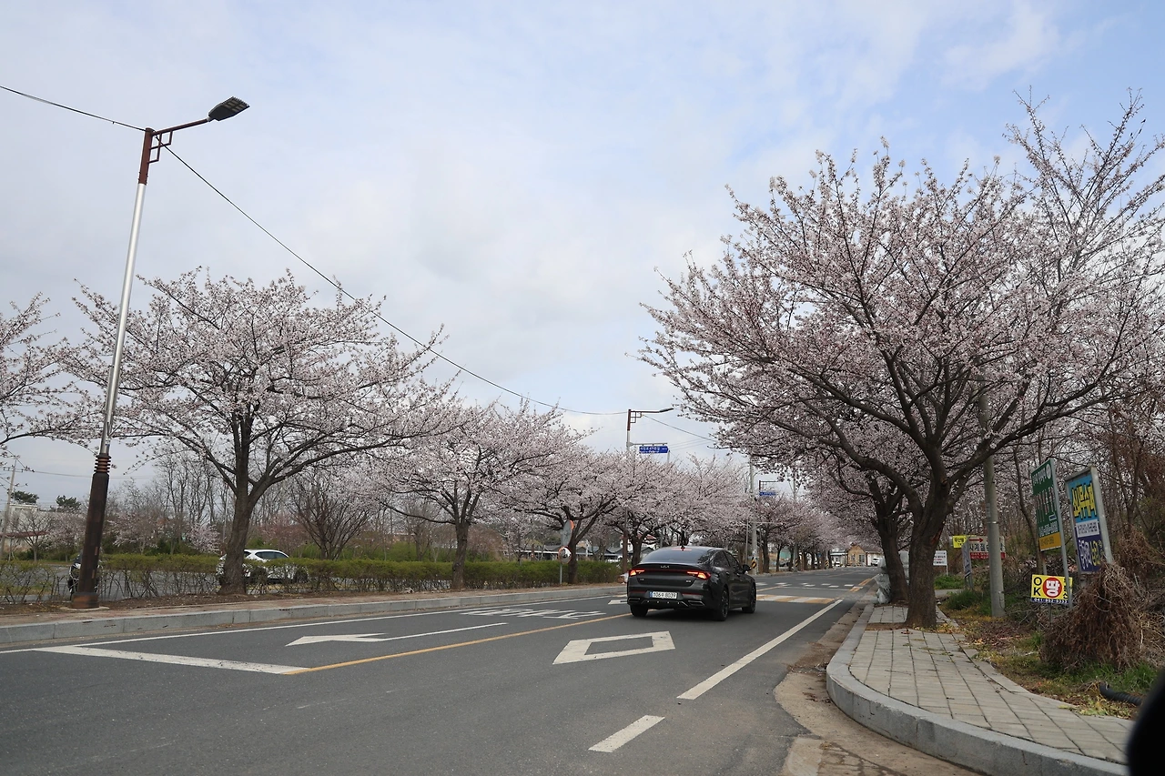 0R5A6670_новый размер.JPG