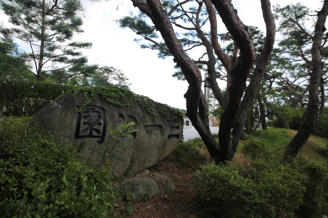 MG0A7844_новый размер.JPG