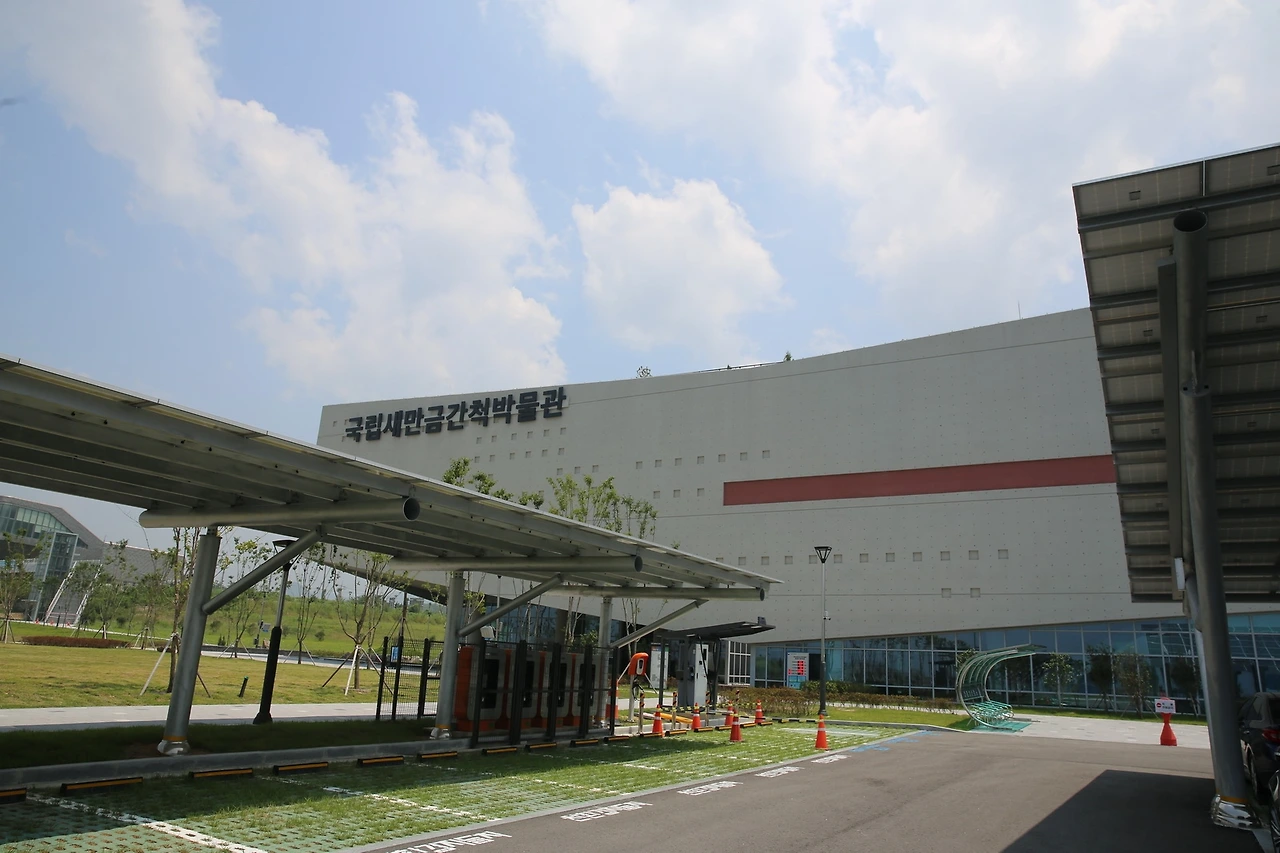 MG0A5506_новый размер.JPG