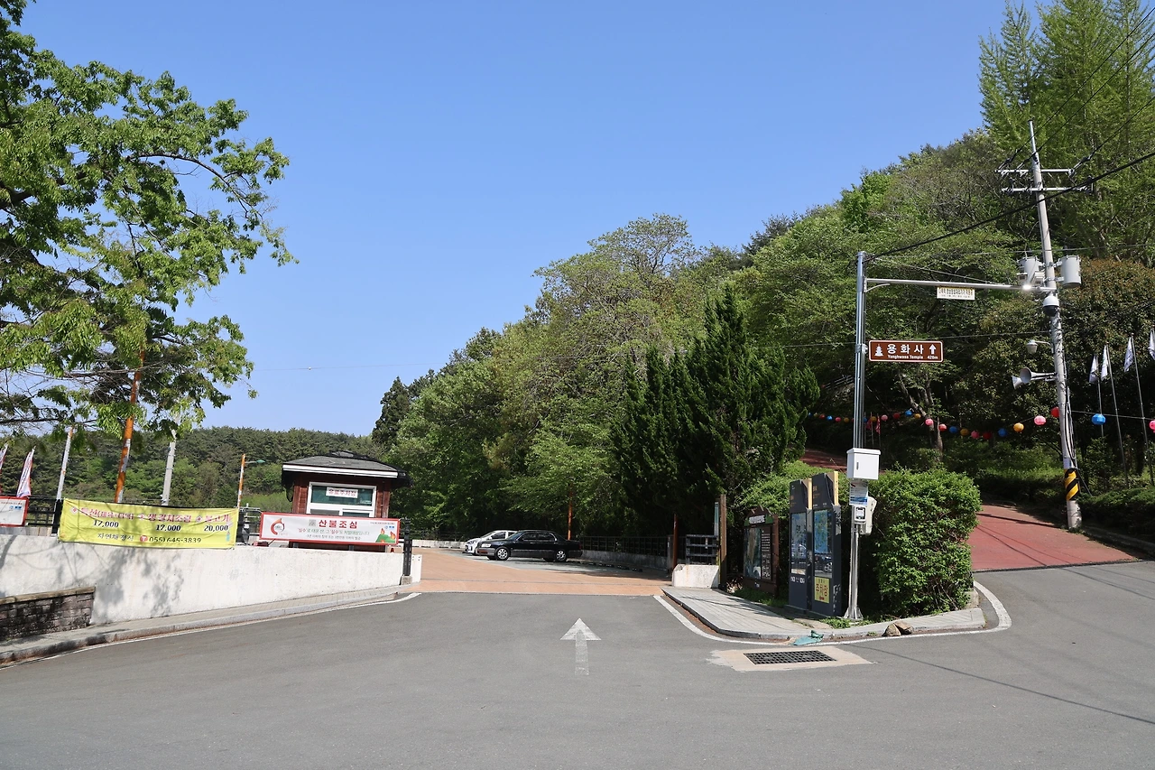 0R5A8333_новый размер.JPG