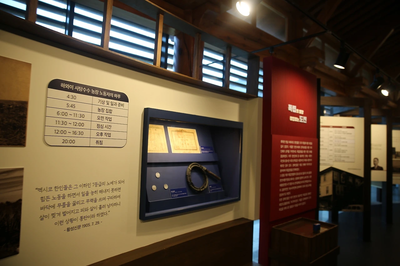 MG0A5722_новый размер.JPG