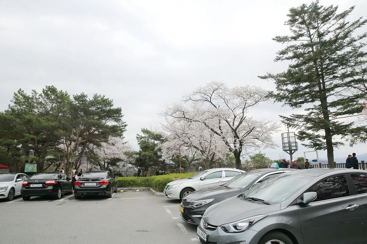 MG0A8192_новый размер_exposure.JPG