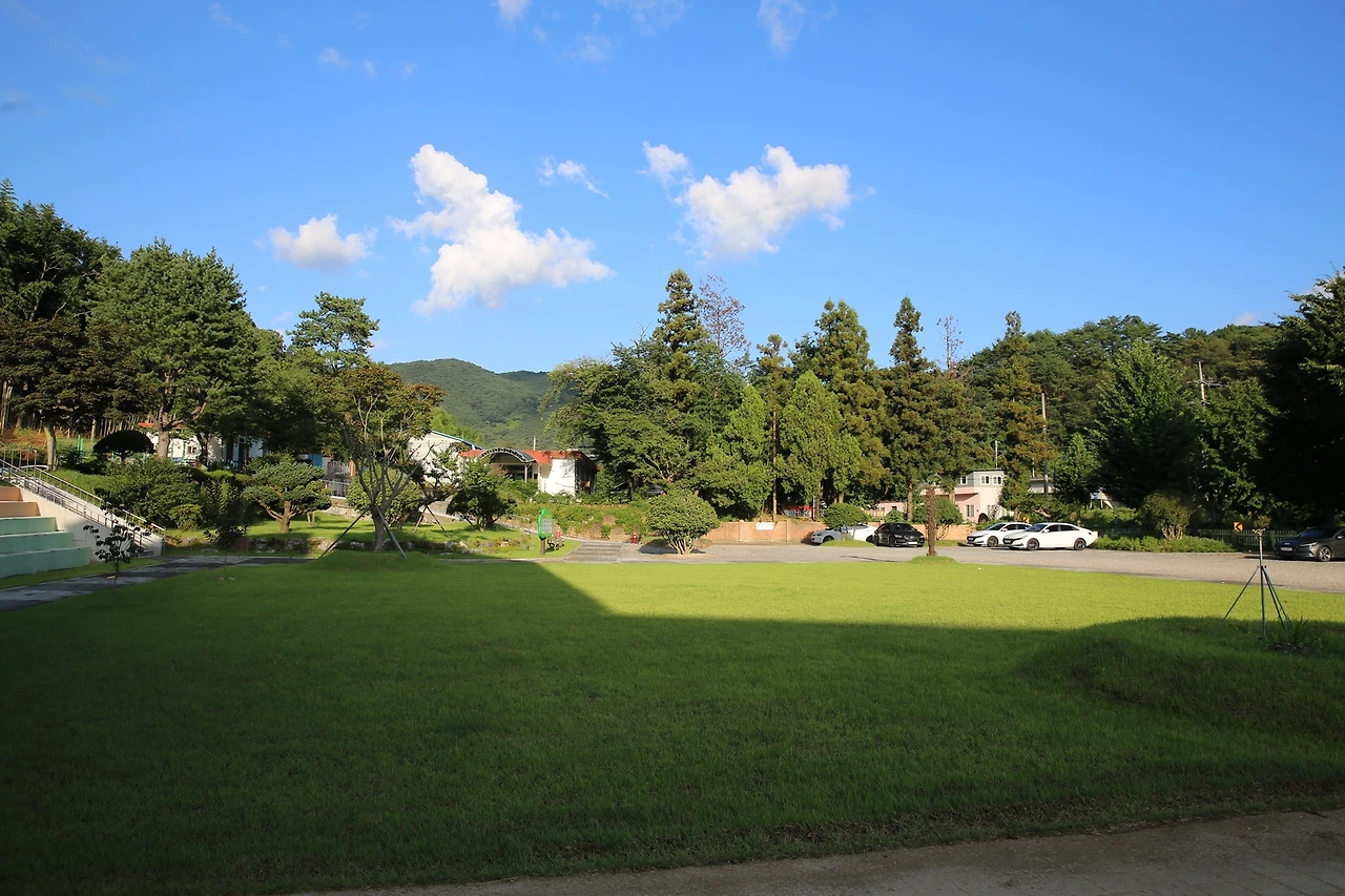 MG0A8152_новый размер.JPG