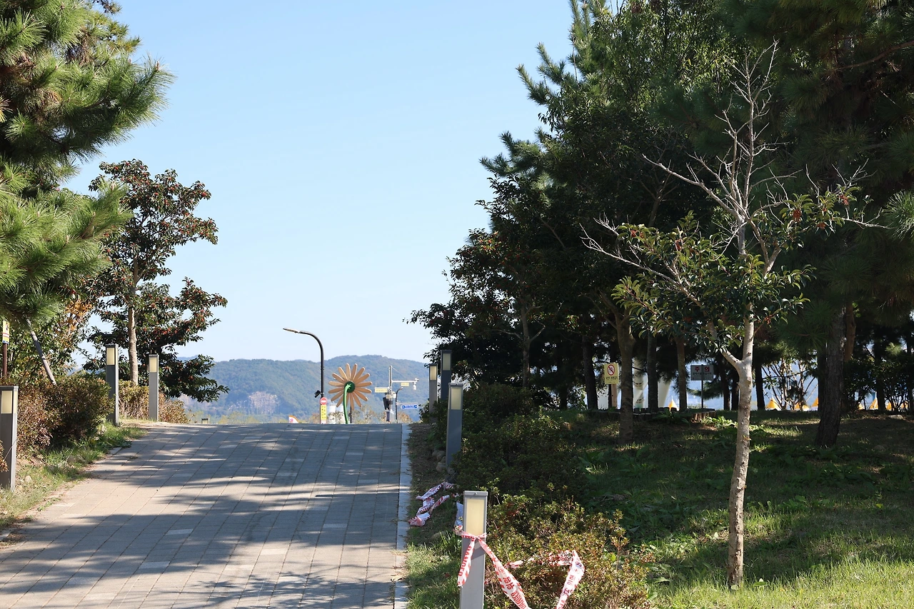 0R5A1963_новый размер.JPG