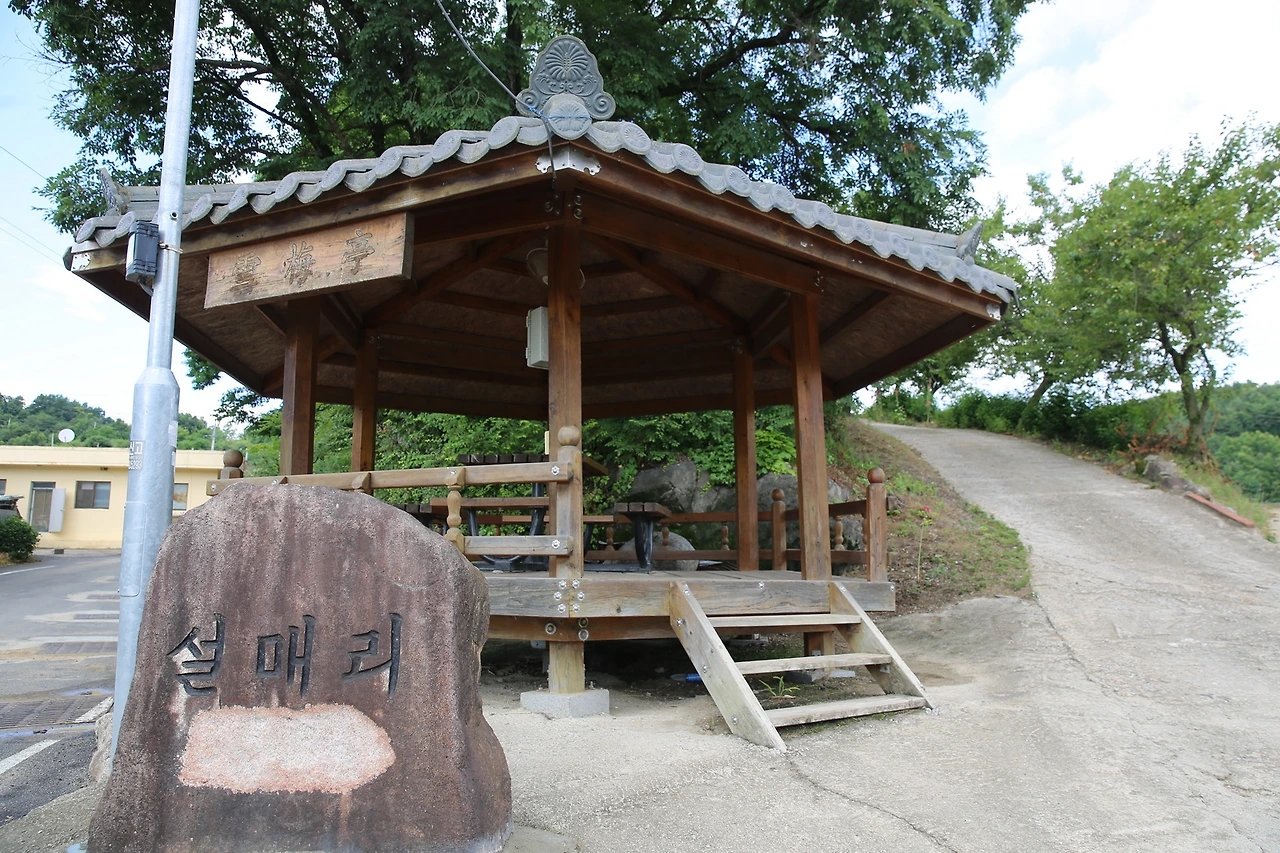 MG0A0466_новый размер.JPG