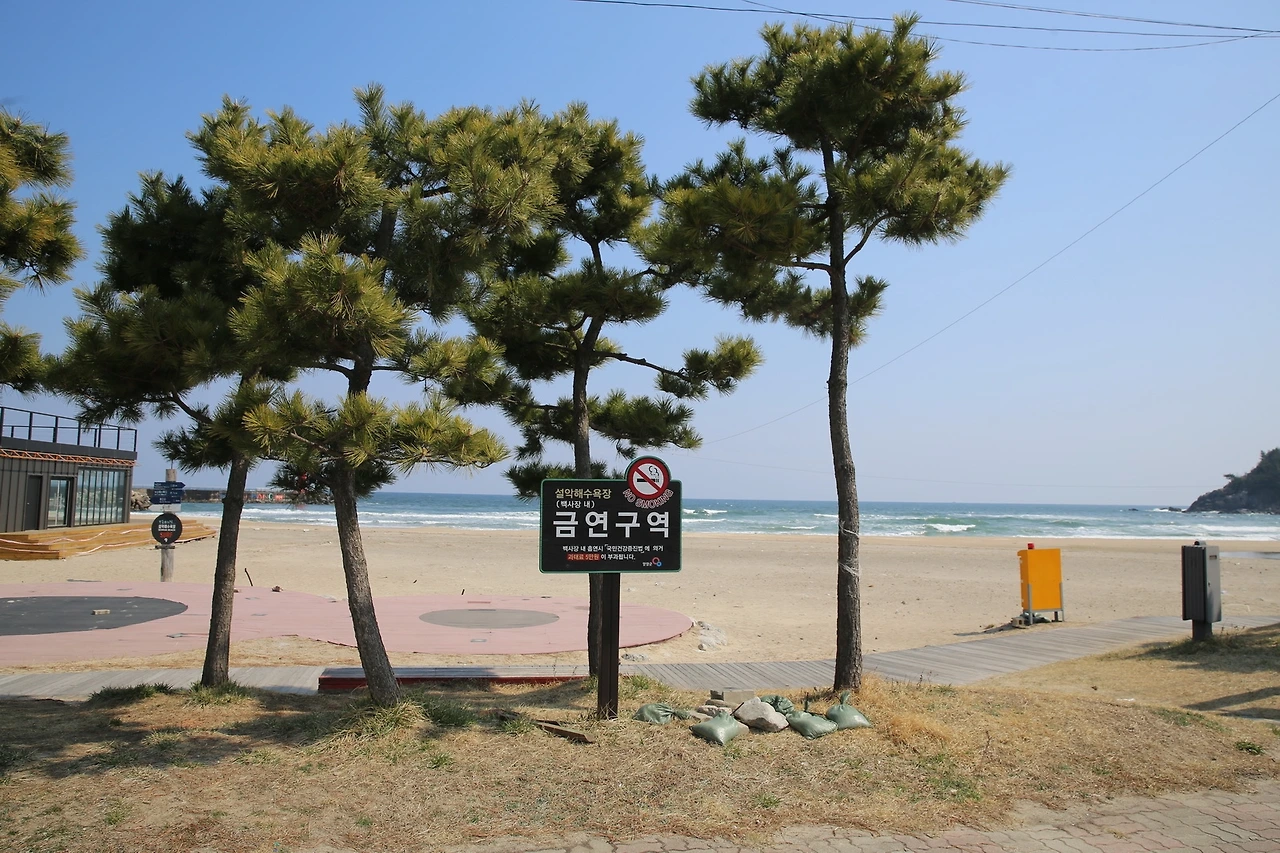 MG0A5278_новый размер.JPG