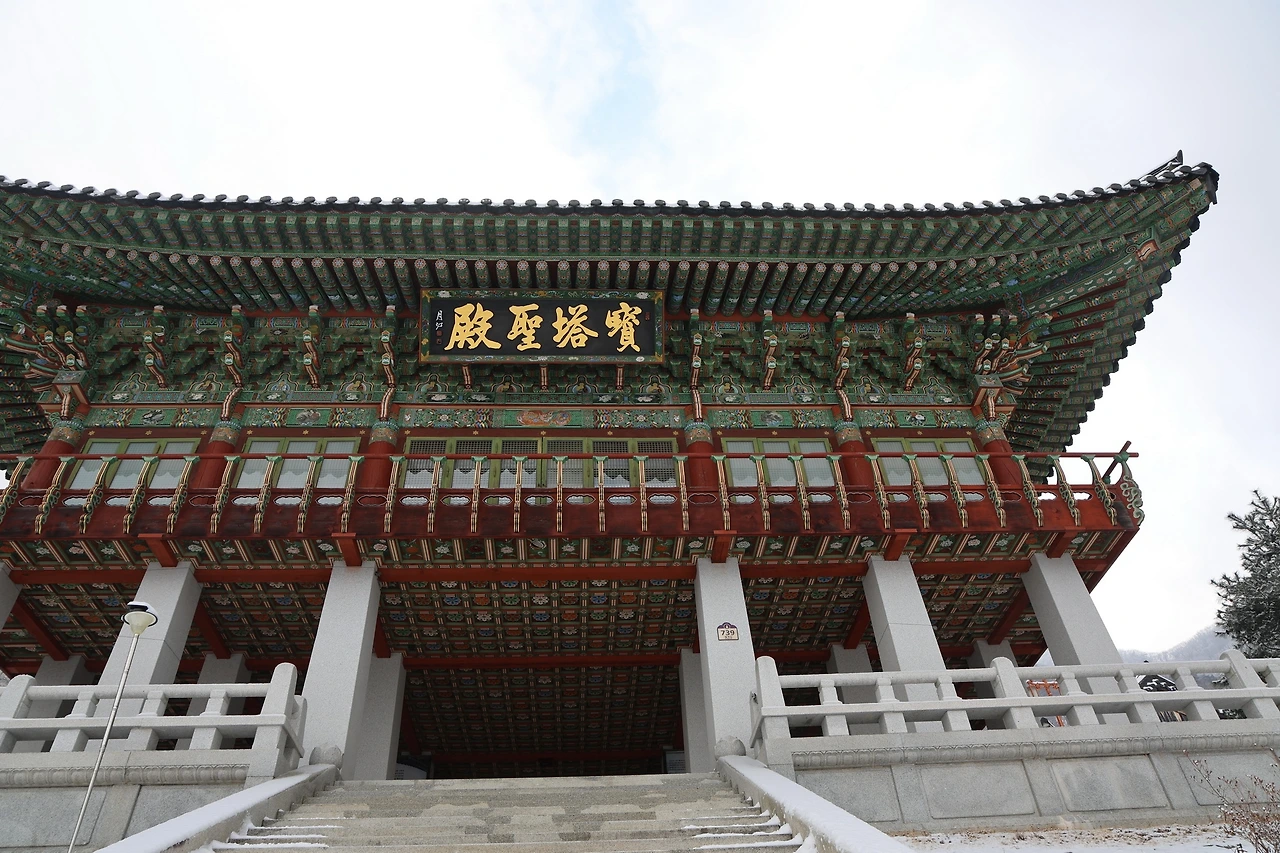 0R5A3165_новый размер.JPG