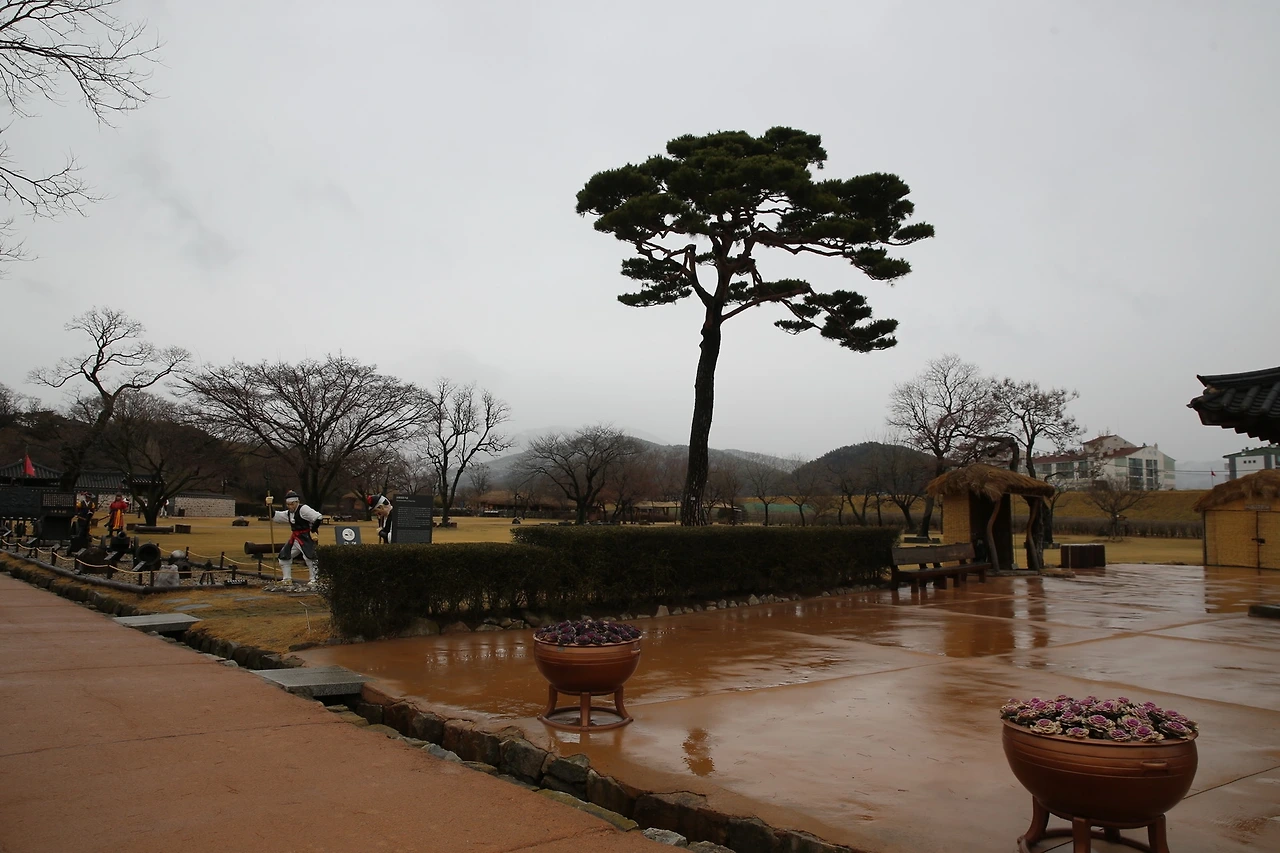 MG0A0606_новый размер.JPG