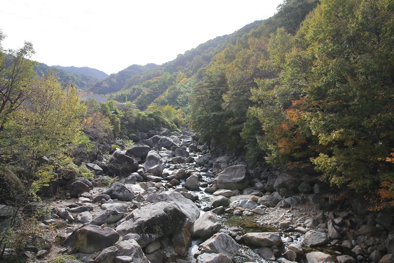 MG0A7861_новый размер.JPG