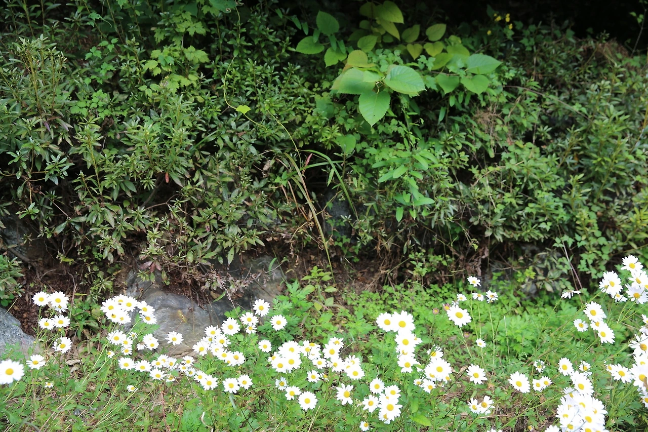 MG0A5591_новый размер.JPG