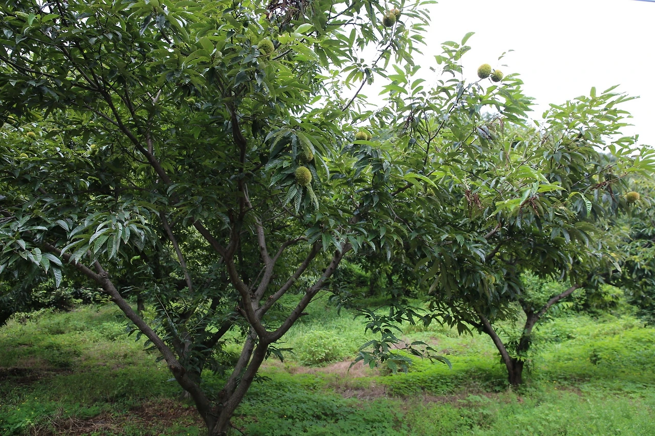 MG0A8961_новый размер.JPG