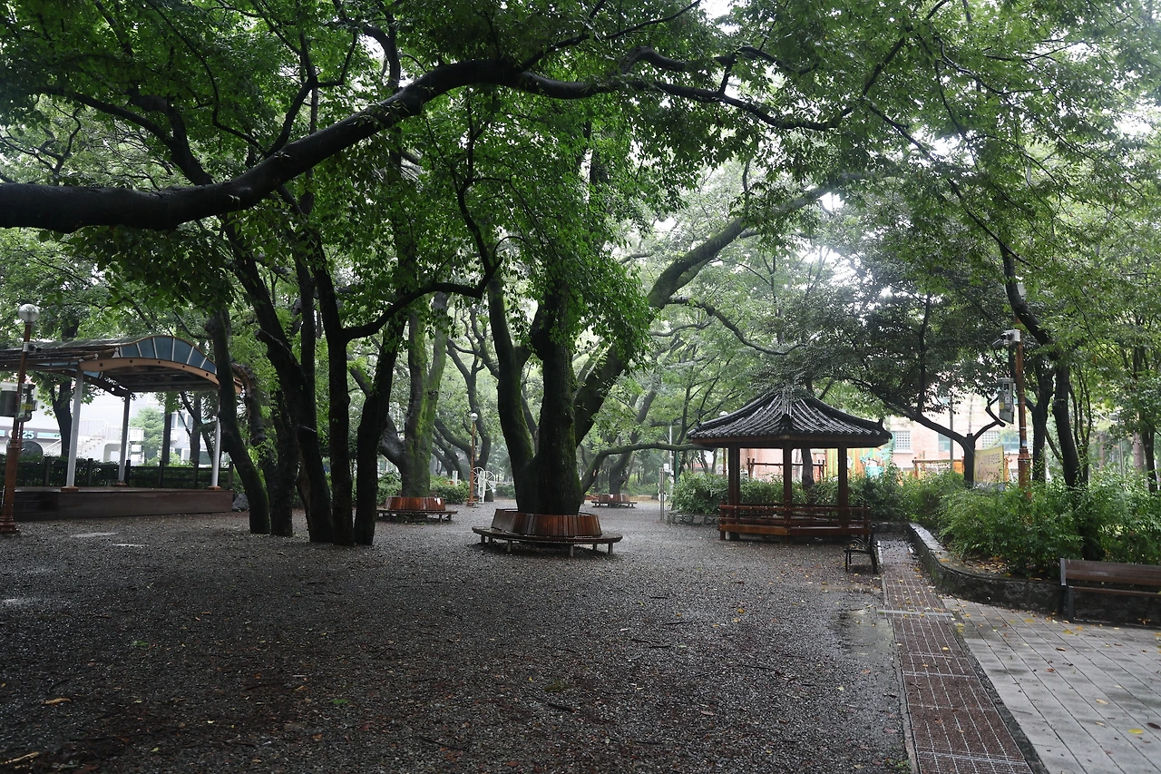 0R5A1446_новый размер.JPG