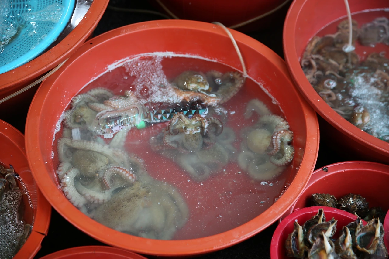 MG0A0435_новый размер.JPG