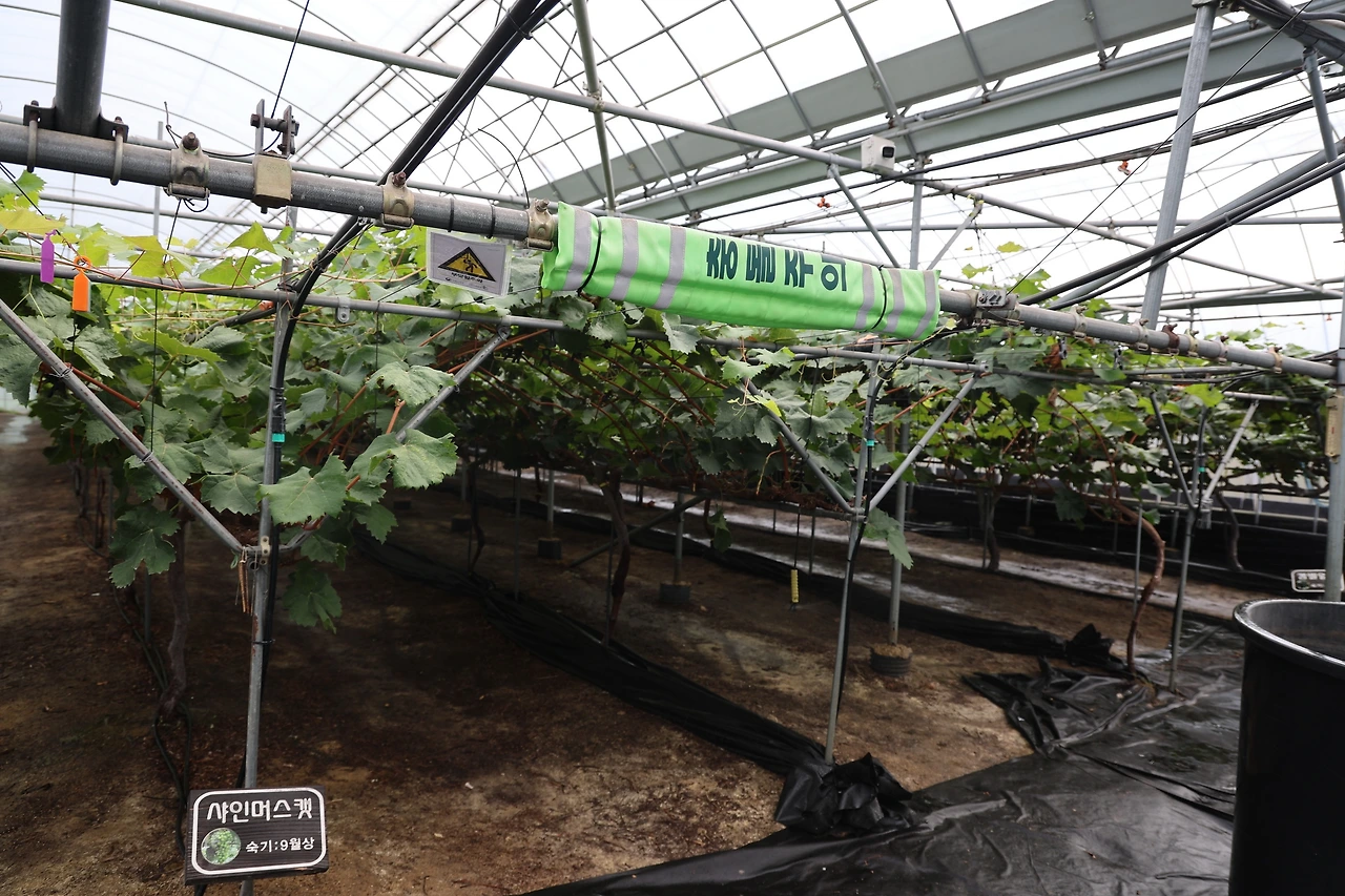 0R5A7706_новый размер.JPG