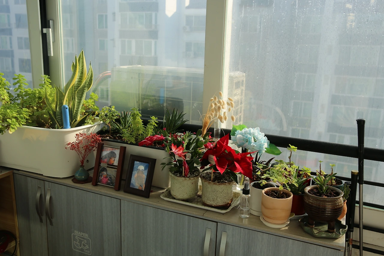 MG0A1861_новый размер.JPG