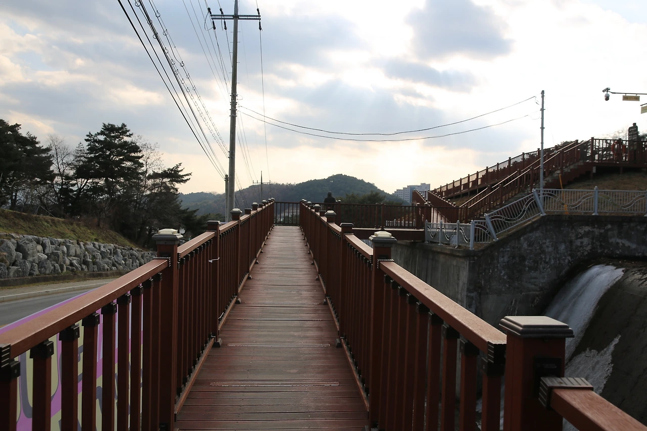 MG0A4950_новый размер.JPG