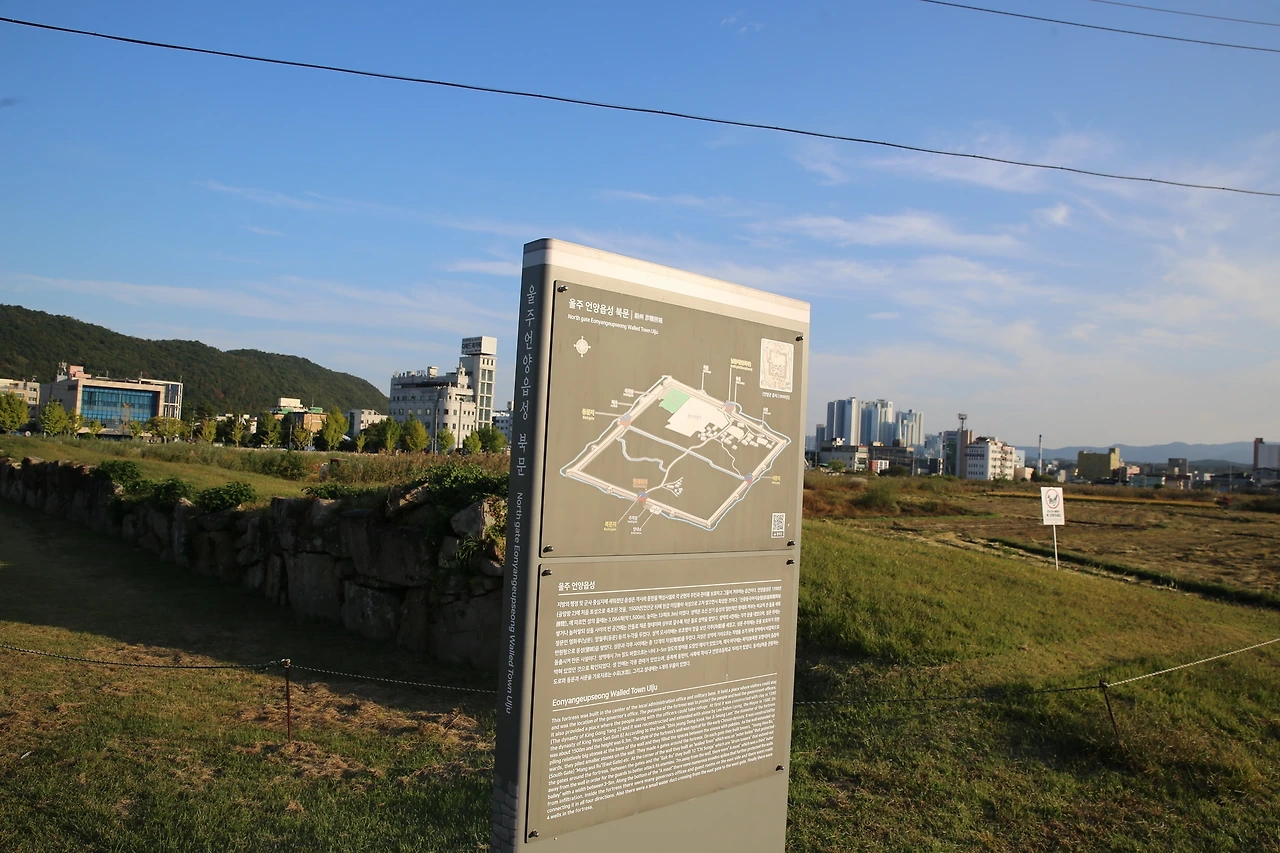 MG0A8264_новый размер.JPG