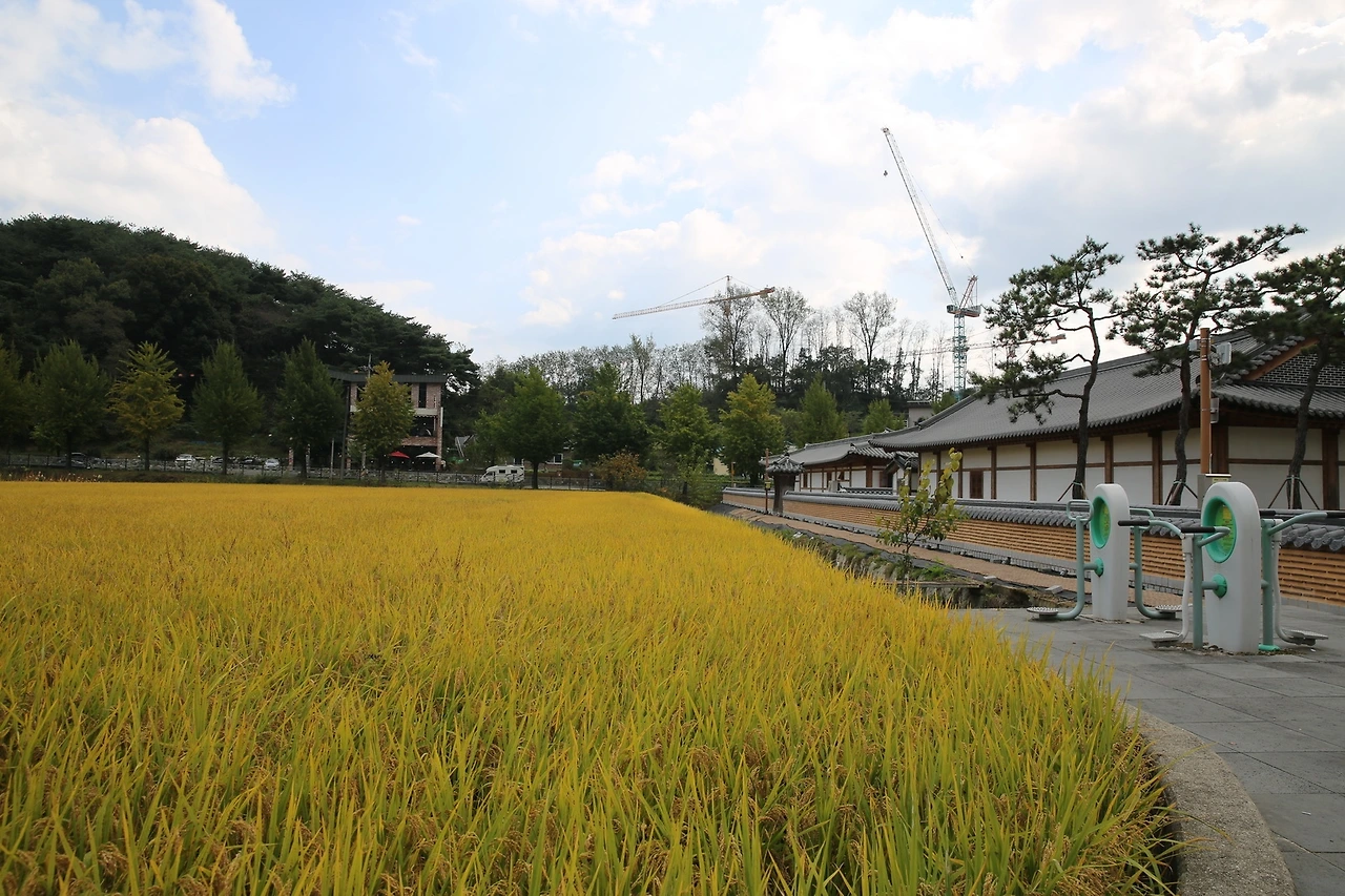 MG0A6477_новый размер.JPG