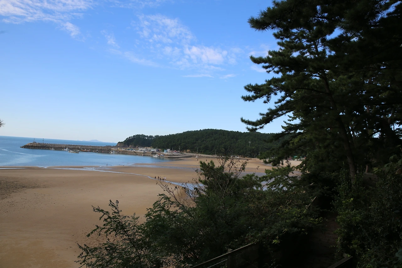 MG0A1428_новый размер.JPG