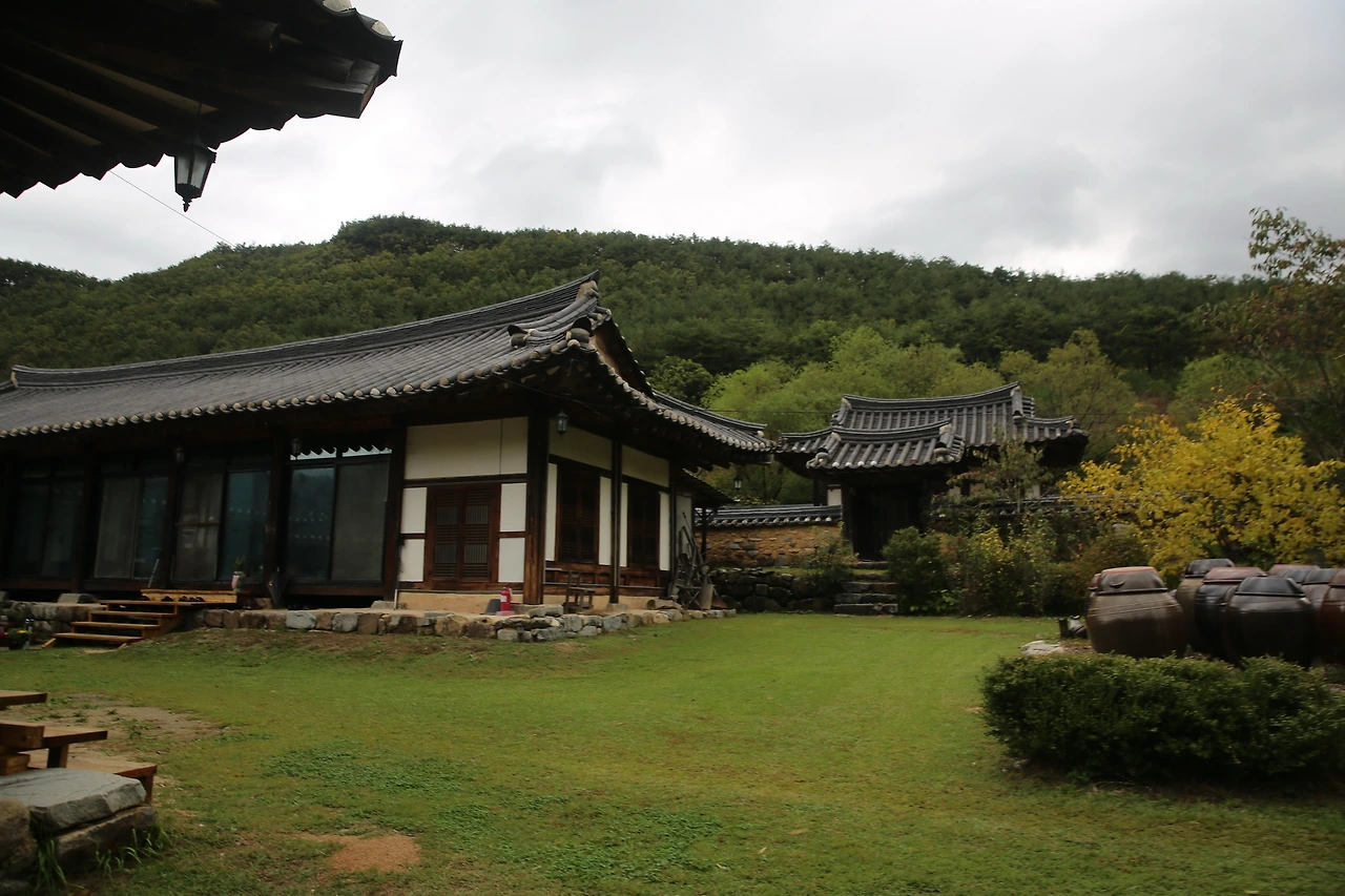 MG0A5870_новый размер.JPG