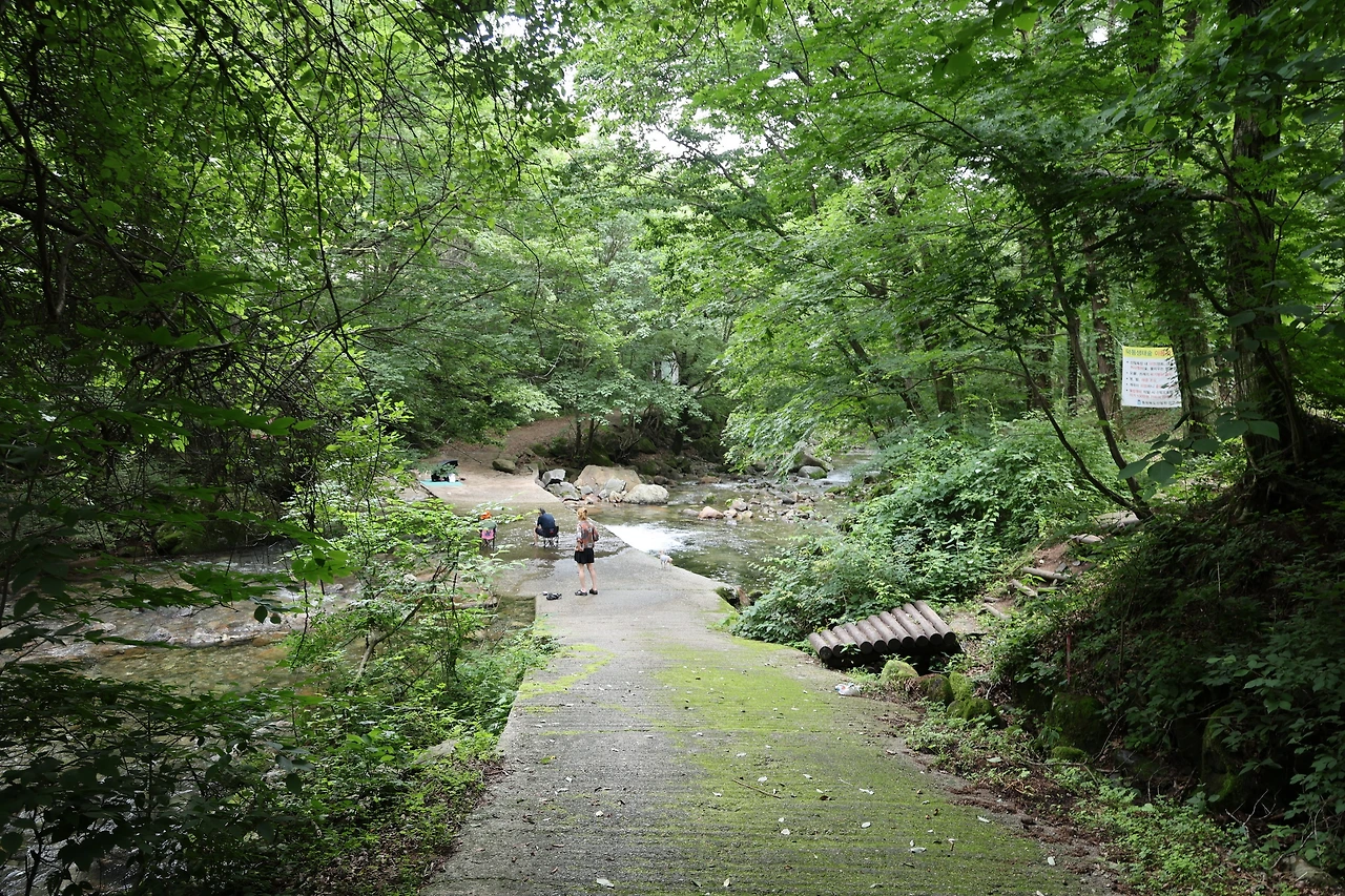 0R5A7449_новый размер.JPG