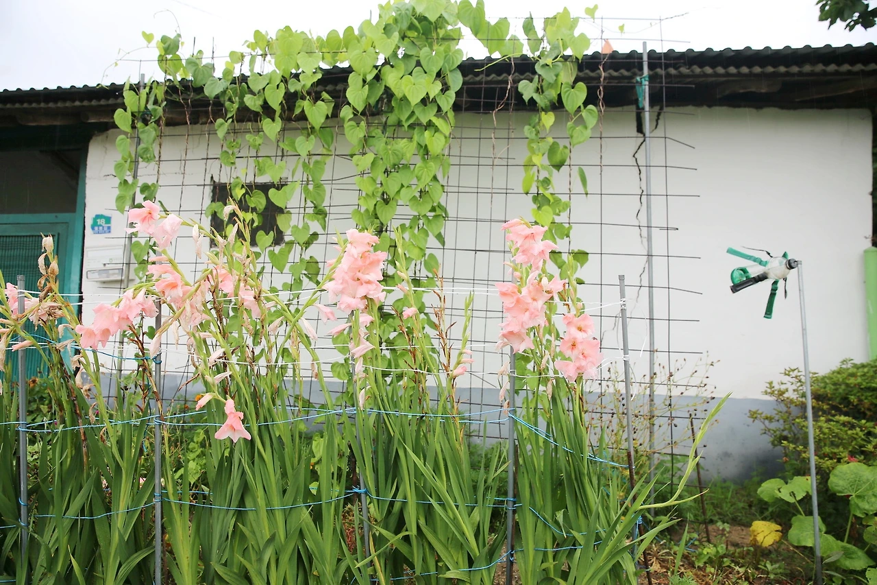 MG0A5990_новый размер_exposure.JPG