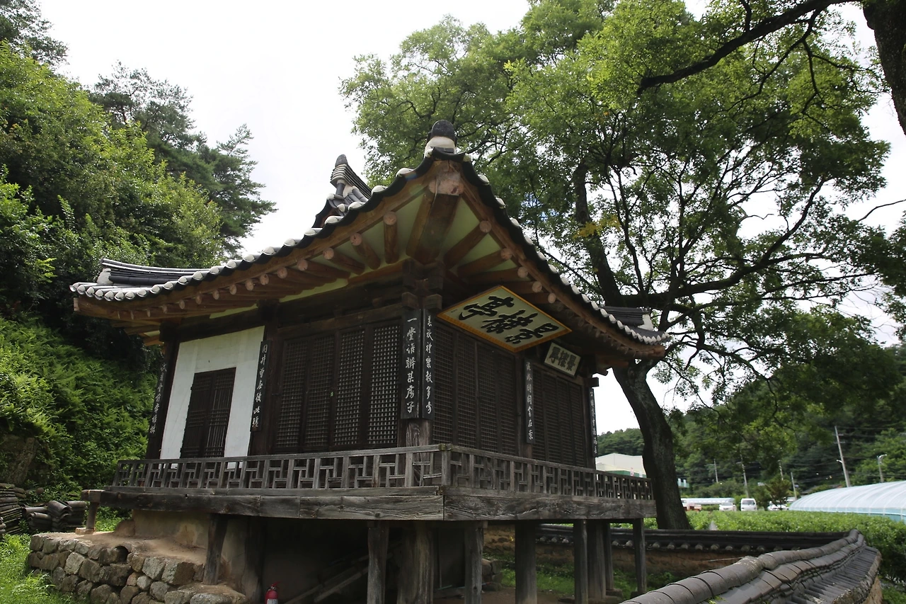 MG0A6659_новый размер.JPG