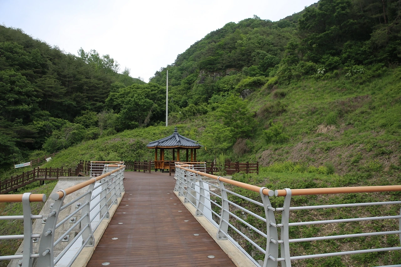 MG0A9921_новый размер.JPG