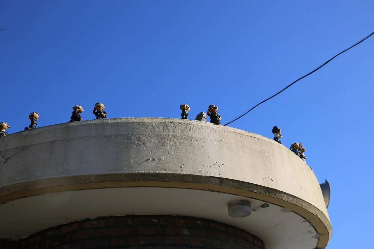 MG0A0603_новый размер.JPG