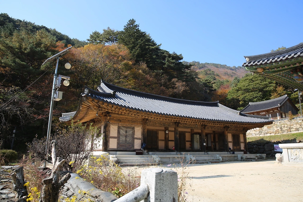 MG0A8234_новый размер.JPG