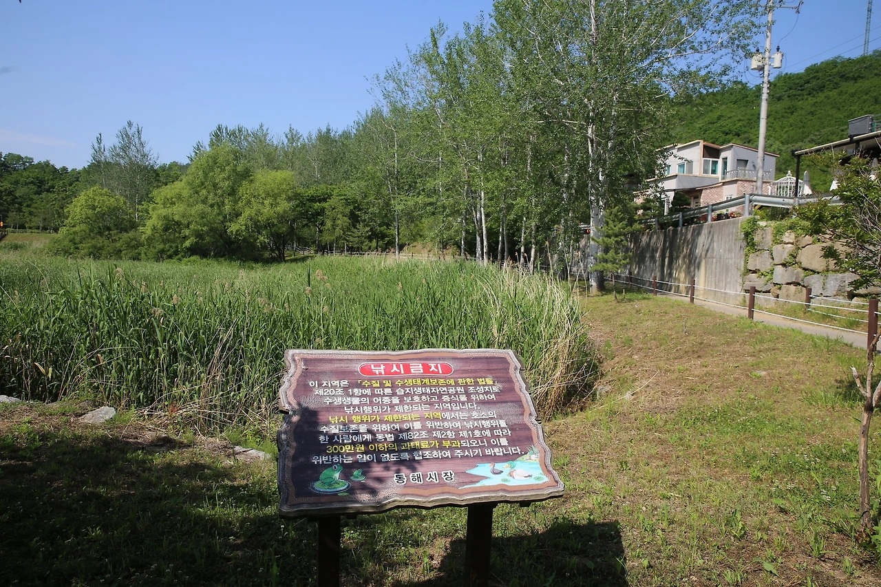 MG0A0060_новый размер.JPG