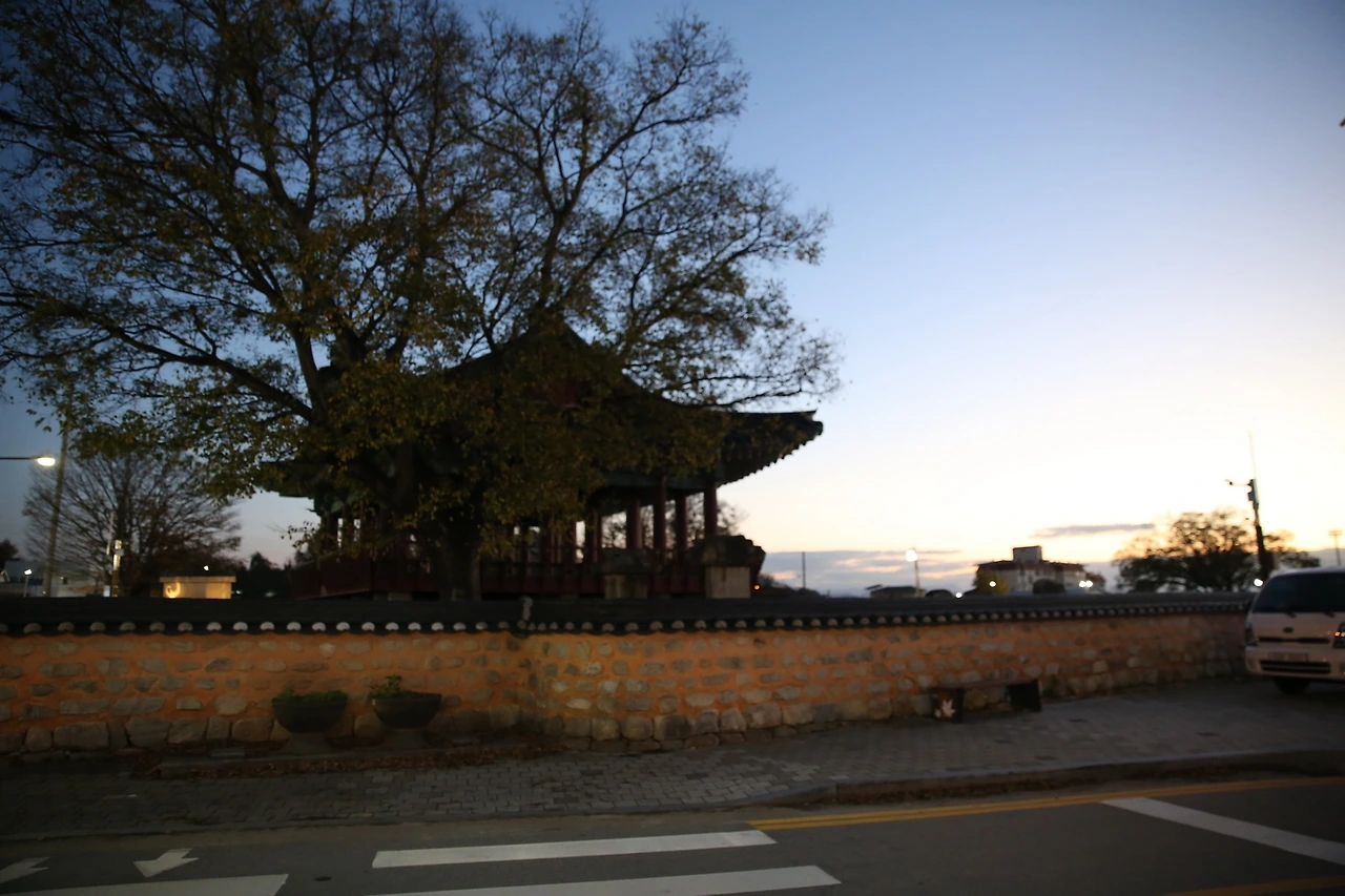 MG0A0723_новый размер.JPG